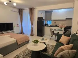 Sofia Residence - Otopeni Airport & Therme I Libertatii Gardens - free pool facilities
