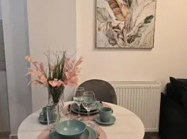 Sofia Residence - Otopeni Airport & Therme I Libertatii Gardens - free pool facilities
