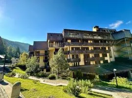 Bilocale Des Alpes 204 - Serafini