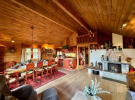 Ski in-out cabin Trysil sauna, fireplace and views，特呂西爾的木屋