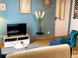 Le joli cosy du centre Dole