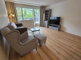 PL203 frisch renovierte lichtdurchflutete Wohnung mit Terrasse