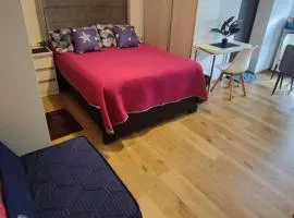 Departamento Único, Ave Paraíso