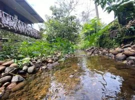 Piatua River Guest House