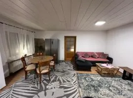 Winningen Ferienwohnung Beste Lage Terrasse