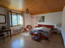 Chez Claire - Immense chambre, salle de bain indépendante réservée aux voyageurs, quartier calme, parking gratuit dans cour fermée