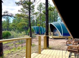 Rustic Winter Tent Stay in the Mountains, luxury tent in Mountainair