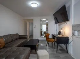 Stylish 3BR in Montreal Village