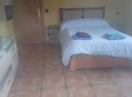 El refugio de Sam