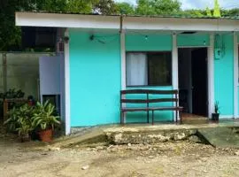 Iguana Verde