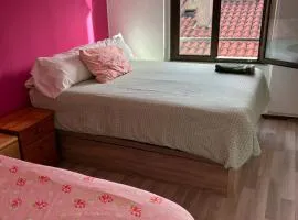 Vivienda rosa barrio húmedo