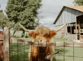 Gîte à la ferme - Animaux et séjour ressourçant