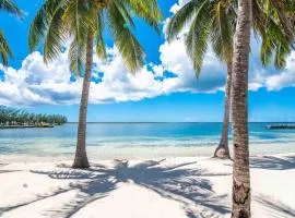 Kaibo Escape - Beachfront Condo with a Special Last-Minute Rate