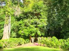Beach Jungle House for 6 with AC