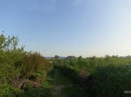 1 day in a village house