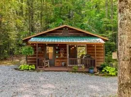 Cozy well equipped cabin in scenic Wears Valley