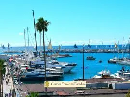 Cannes Provencal Paradise