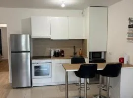 APPARTEMENT ST MAUR DES FOSSES proche quai de la Marne