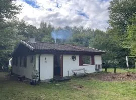 9 person holiday home in SÖSDALA