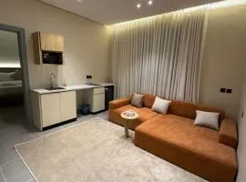 Luxury studio