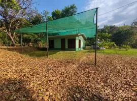 Coyolito Mountain