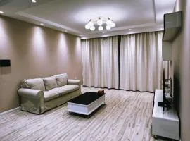 Cozy furnished Brand-New City Center UB Apartment