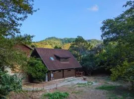 鋸南房総半島の森の中に静かに佇むログハウス #貸別荘 #一棟貸切 #グループ旅行や家族旅行におすすめ #広々吹き抜けリビング #BBQのできるウッドデッキ #ジブリ風空間 #満天の星空 #鋸南 #南房総 #komorebi