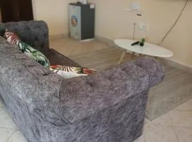 shaz cozy home