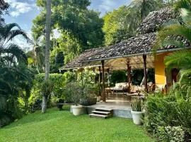 The Old Palm House