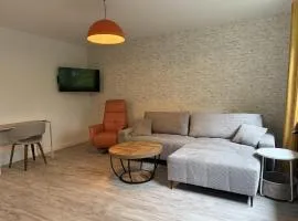 Oslo: Messe-/Business-/Ferienwohnung