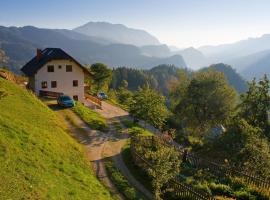 Turistična kmetija Perk, farm stay in Solčava