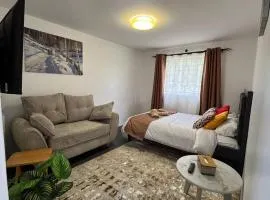 Kileleshwa studio