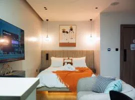 Luxury Studio Retreat in wuse2