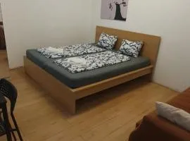 Sweet 2BR Shared Apt next to Enkplatz U3
