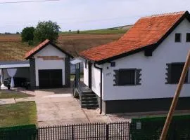 Baranja Luxury House