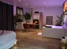 Suite de charme avec JACUZZI illimité et jardin privatif