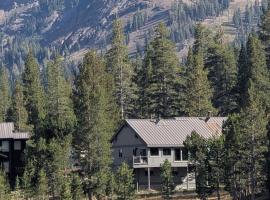 Kirkwood On Meadow 3br 1 ba, hotel i Kirkwood