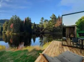 White Birch Mirror House at FarAway Pond