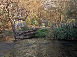La cabaña del rio Rivadavia