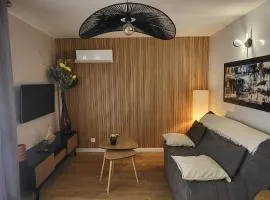 Appartement les hauts de balaruc L' escapade T2 rénové parking climatisation et piscine