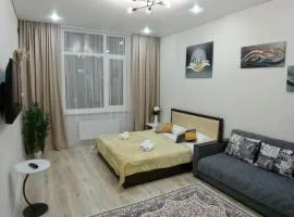 Топ локация - ЖК Бухар Жырау, Ботанический сад, стадион Астана и Барыс Арена