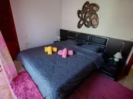 Elmas House