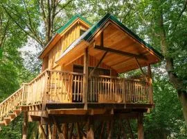 Cabane Pic Vert