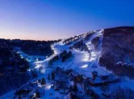 Beech Mountain SLOPES ARE OPEN! SKI SEASON, FREE sledding hill, Walk to Ski Shuttle