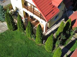Casa Galbena, hotel in Slănic