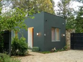 House B thonningii - warm minimalism