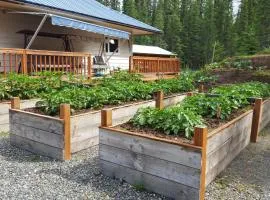Cook's Place