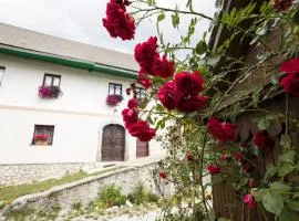 Turistična kmetija Gartner