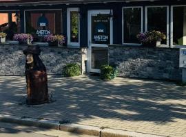 Aneton Garni Hotel, pousada em Thale