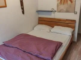 Charming Room in a Central Location with perfect Connectivity